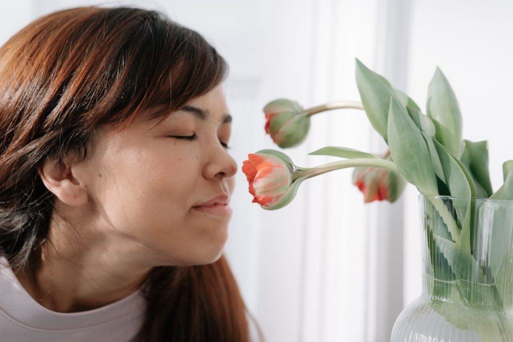De kracht van natuurlijke geurplanten in huis