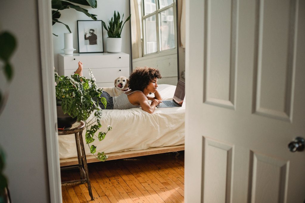 5 planten die je slaapkamer gezonder maken