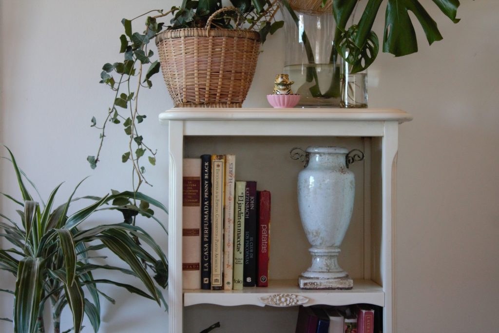 Houten boekenkast met boeken, kamerplanten en decoratie
