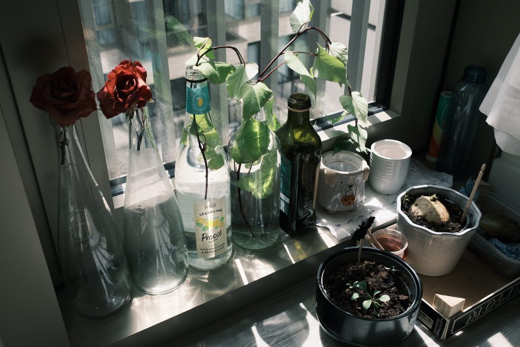 Vensterbank met glazen flesjes, rozen en potplanten in het zonlicht